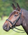 Aviemore Diamante Flash Bridle